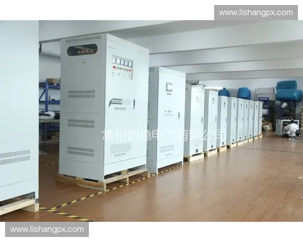 体能稳压器助力全身健康提升运动表现与抗压能力